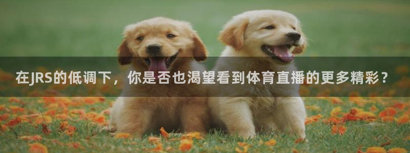 黑白体育直播在线
