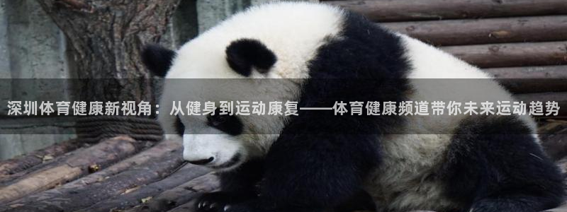 黑白nba直播在线直播