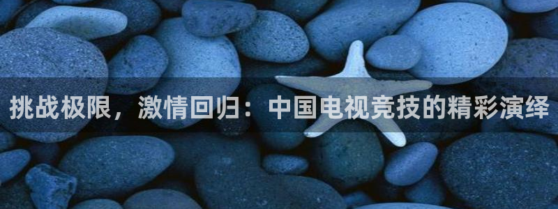 黑白体育直播足球