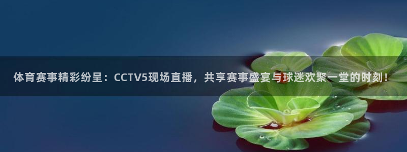 黑白直播nba免费观看下载篮球：体育赛事精彩纷呈：CCTV5现场直播，共享赛事盛宴与球迷欢聚一堂的时刻！