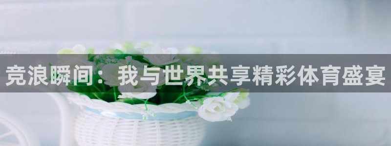 黑白体育直播在线观看：竞浪瞬间：我与世界共享精彩体育盛宴