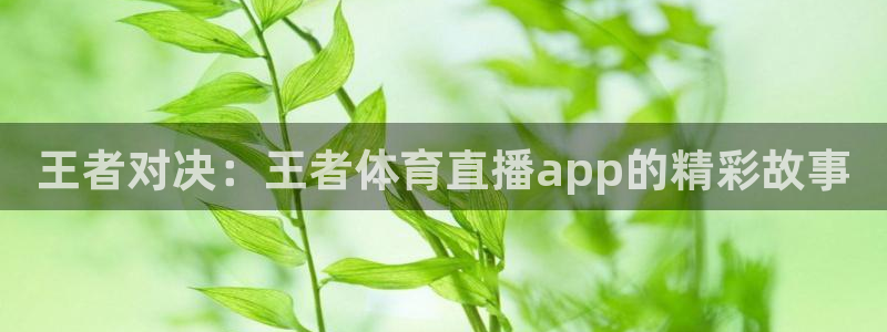 黑白直播免费体育直播下载：王者对决：王者体育直播app的精彩故事