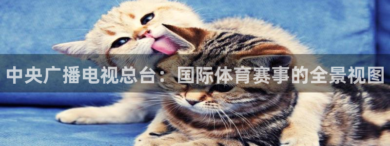 黑白体育直播网：中央广播电视总台：国际体育赛事的全景视图